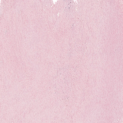 Art Spectrum Soft Pastels - Image 31