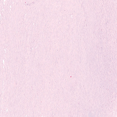 Art Spectrum Soft Pastels - Image 39