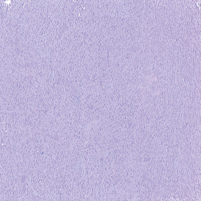 Art Spectrum Soft Pastels - Image 44
