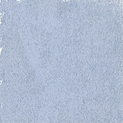 Art Spectrum Soft Pastels - Image 58