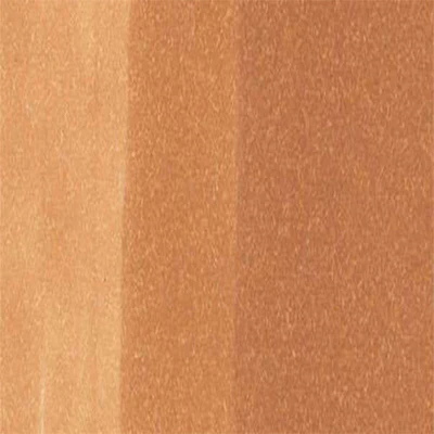 Copic Inks (Earth Tones) - Image 17