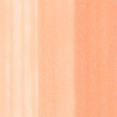 Copic Inks (Earth Tones) - Image 50