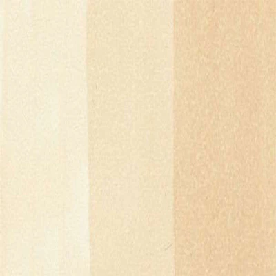 Copic Sketch Markers (Earth Tones) - Image 29