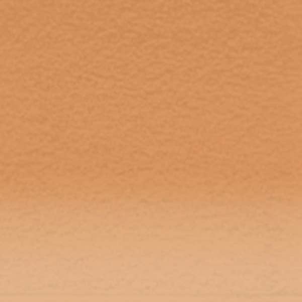 Derwent Artists Pencils (Neutrals)