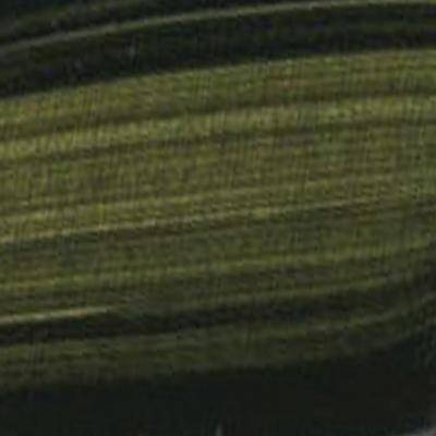 Golden OPEN Acrylic Paints 59ml - Image 59