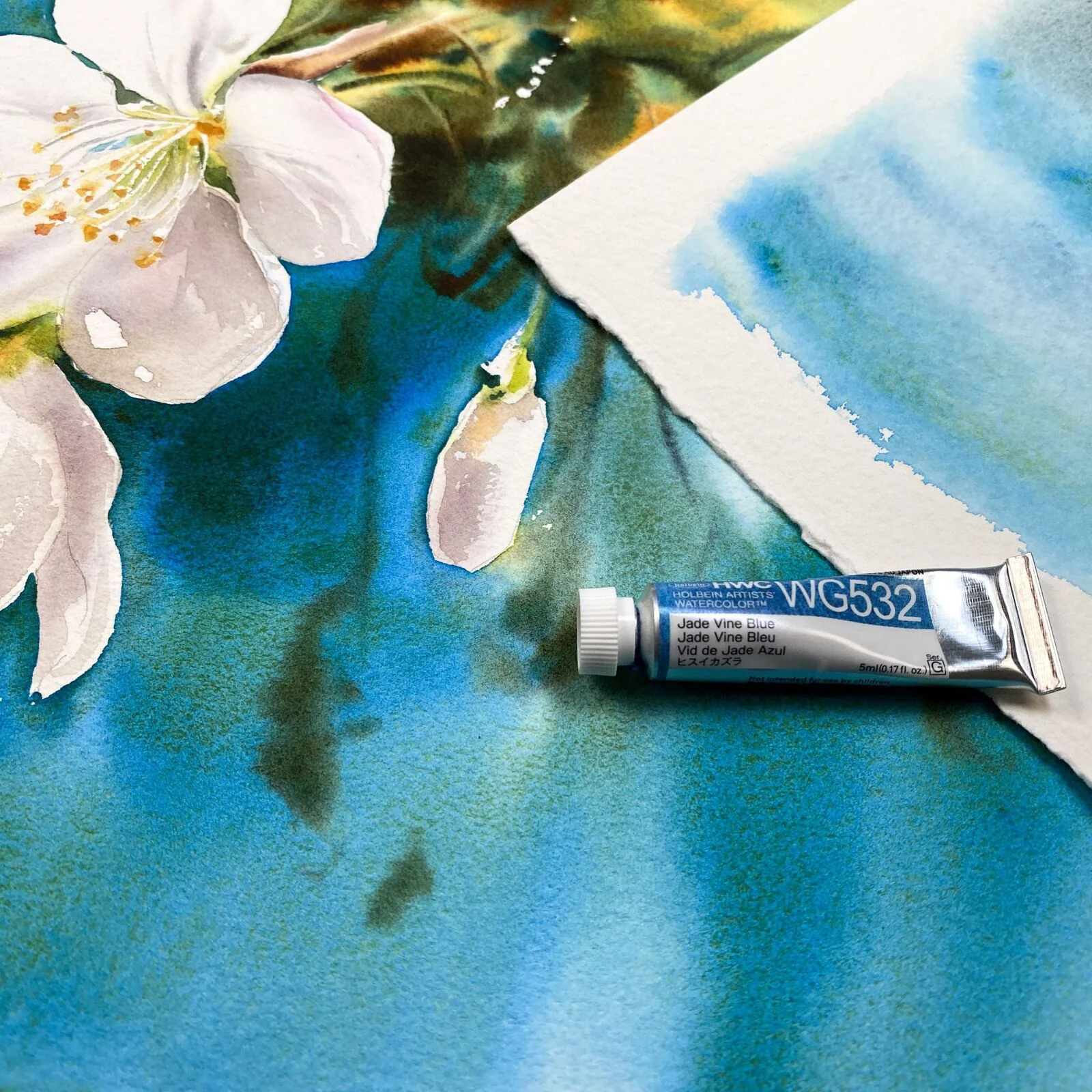 Holbein Granulating Watercolour Flower Set of 6 - Image 3