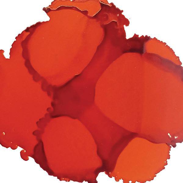 Jacquard Pinata Alcohol Inks 14ml - Image 5