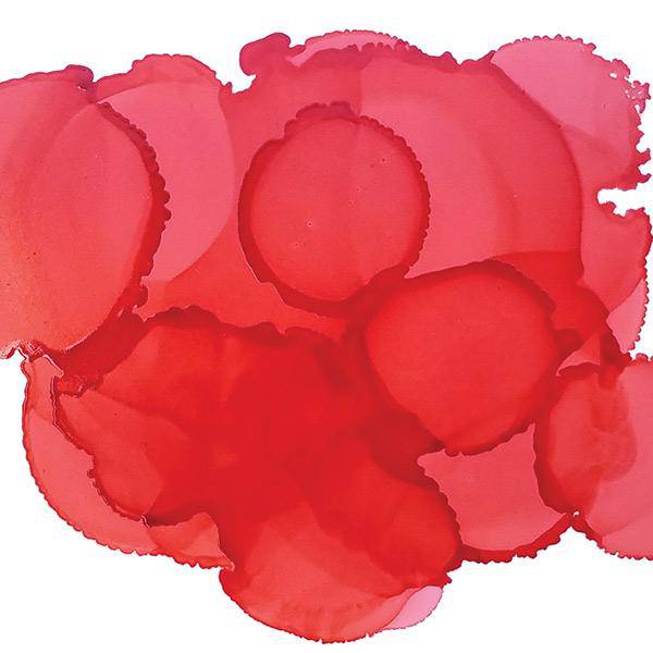 Jacquard Pinata Alcohol Inks 14ml - Image 9