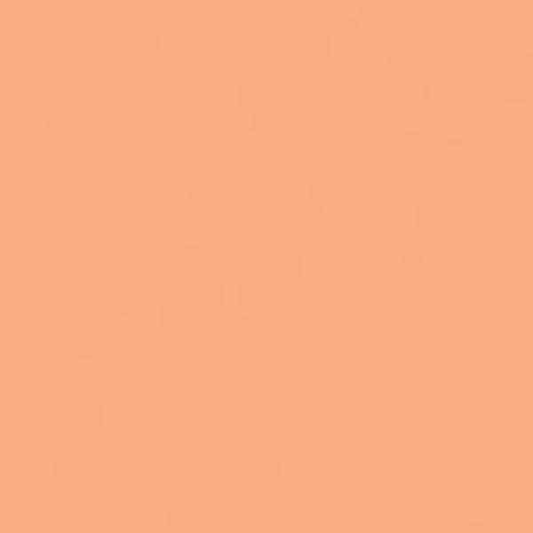 Jacquard Procion MX Dyes 19gms - Image 38