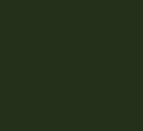 Jacquard SolarFast Dye 236ml - Image 11
