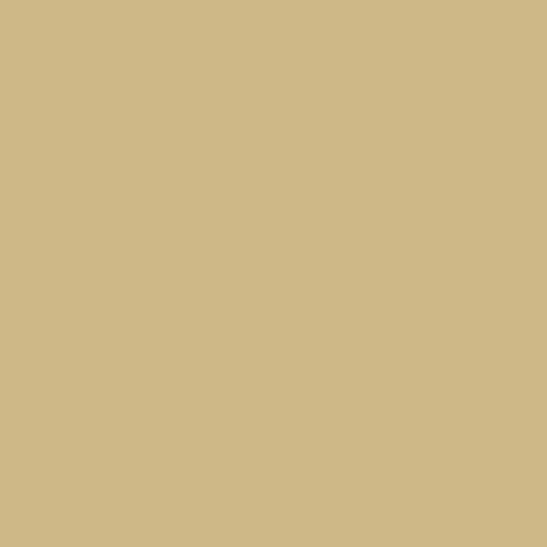Pebeo Studio Fine Huile XL Oil Paints 37ml - Image 53