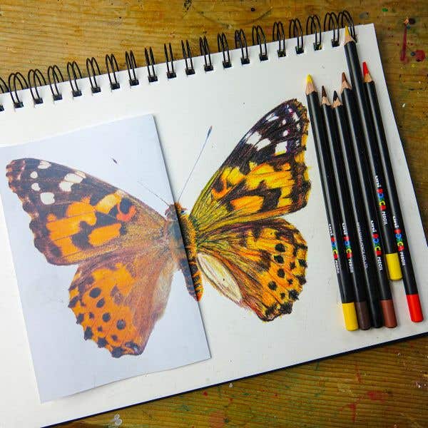 Posca Colour Pencil Set - Image 3