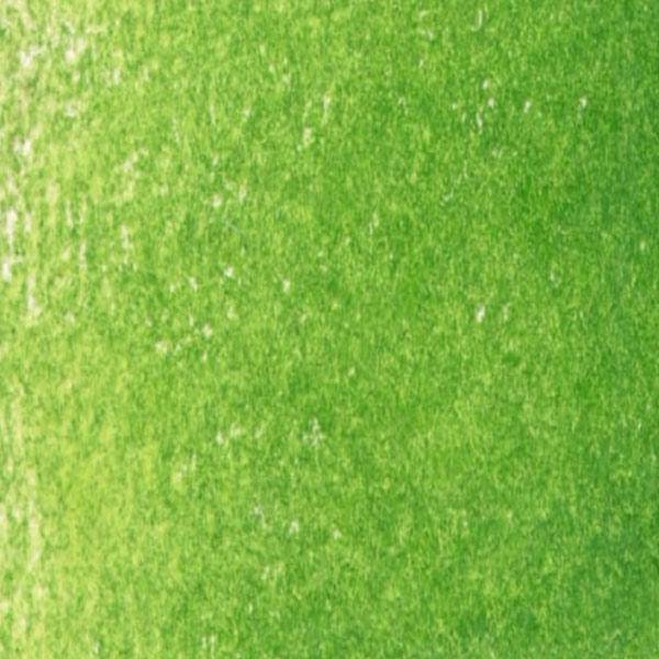 Prismacolor Coloured Pencils (Greens to Browns) - Image 20