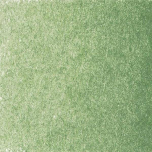 Prismacolor Coloured Pencils (Greens to Browns) - Image 23