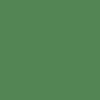 Reeves Fine Artist Oil Paints 50ml - Image 27