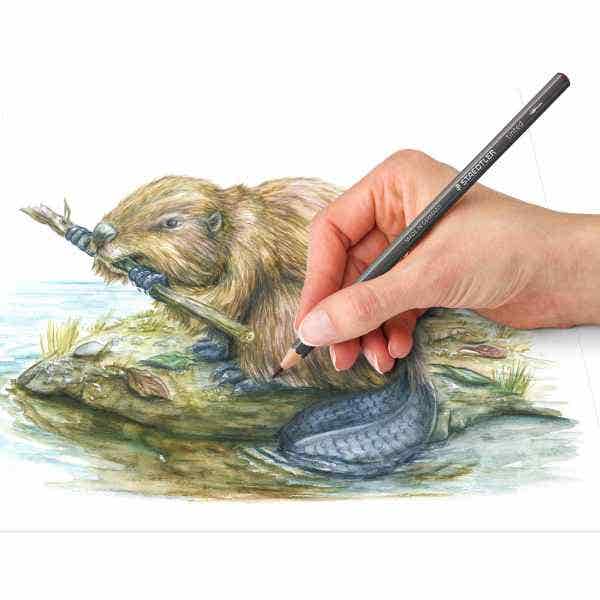STAEDTLER Tinted Watercolour Pencil Set - Image 5