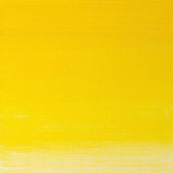 Winsor & Newton Artists' Oil Paint 200ml - Image 5