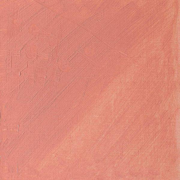 Winsor & Newton Artists' Oil Paint 37ml - Image 39