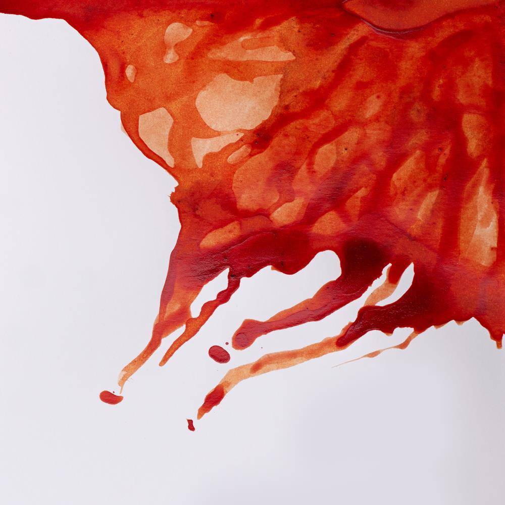 Winsor & Newton Drawing Ink 14ml - Image 6