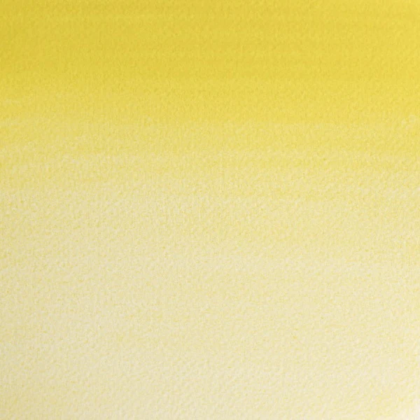 Winsor & Newton Professional Watercolour Half Pans - Image 2