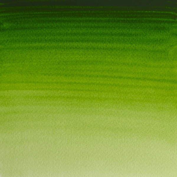 Winsor & Newton Professional Watercolour Half Pans - Image 62