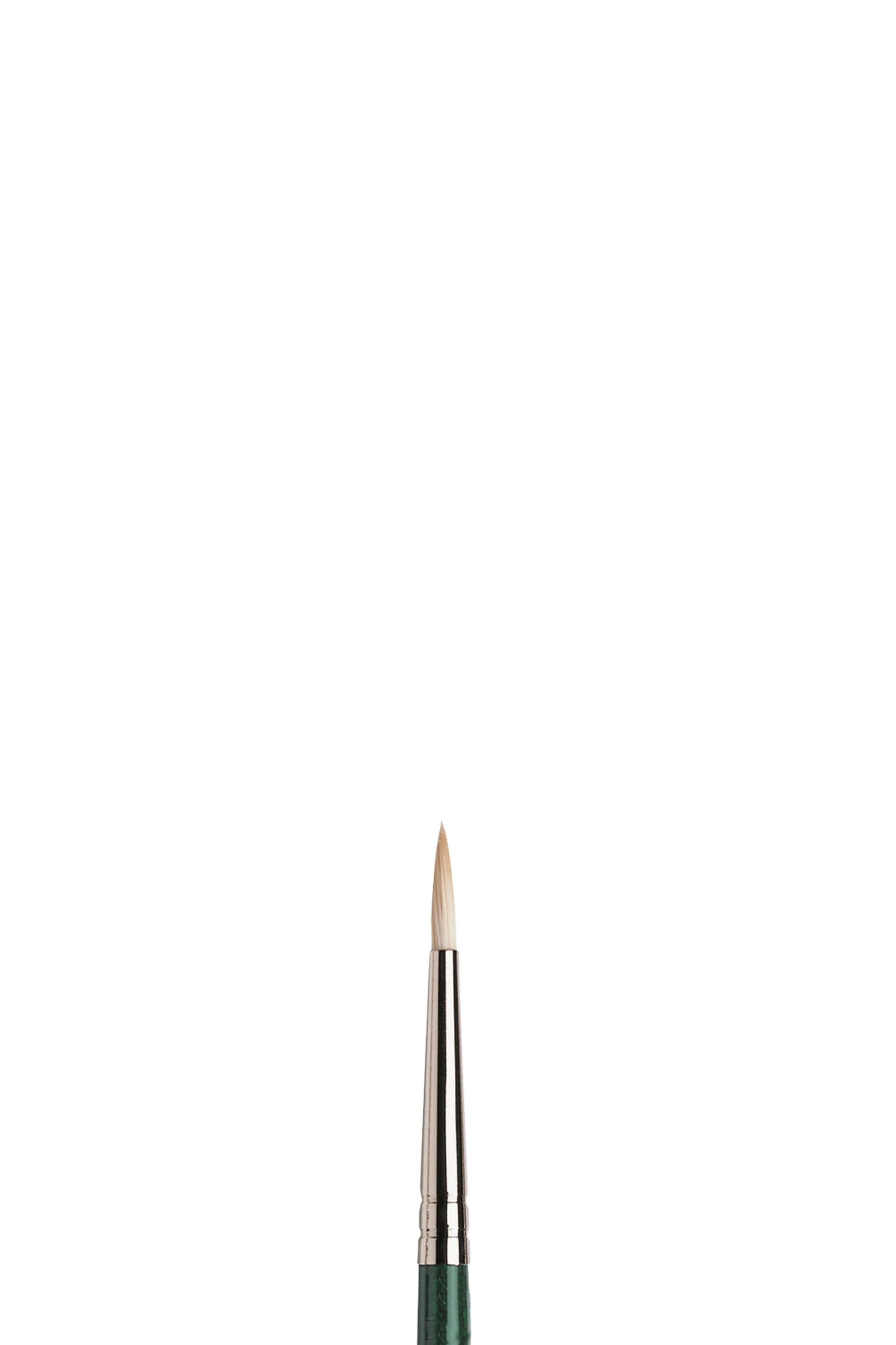 Winsor & Newton Winton Hog Brush Set 3 - Image 3