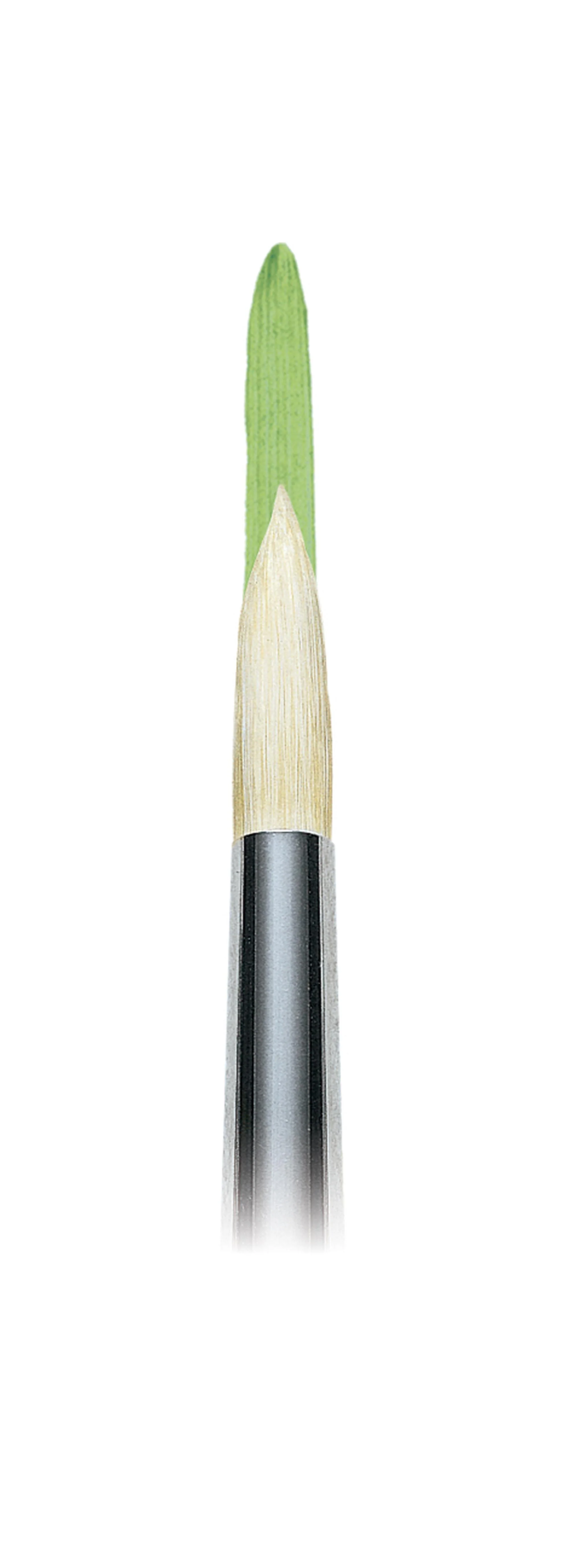 Winsor & Newton Winton Hog Brush Set 3 - Image 7