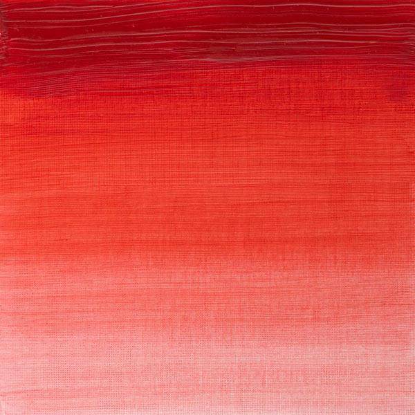 Winsor & Newton Winton Oil Paints 37ml - Image 17