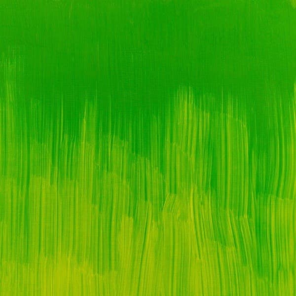 Winsor & Newton Winton Oil Paints 37ml - Image 48