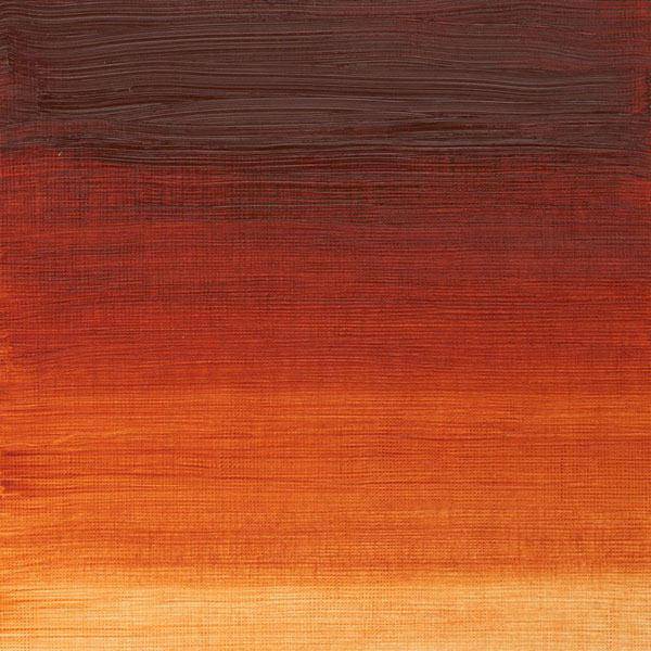 Winsor & Newton Winton Oil Paints 37ml - Image 77